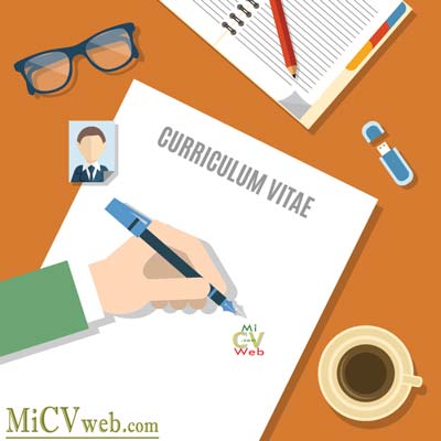 Curriculum Vitae MiCVWEB.COM